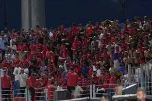 وطنی در انتظار شکست پرسپولیس برای معجزه بقا
